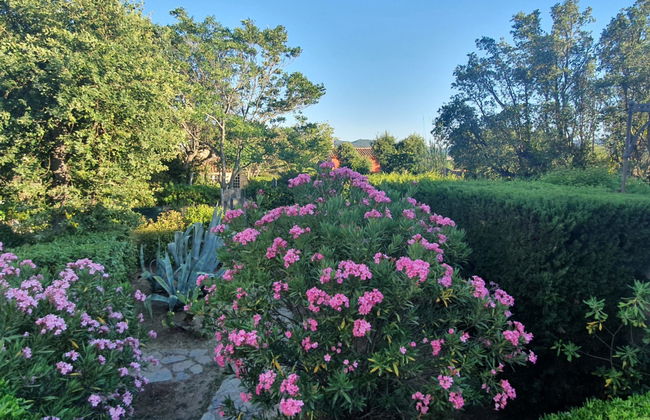 La Maison bleue - Foto 21