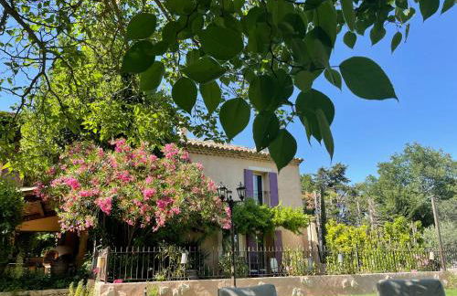 Mas de la Sacristière - Photo 47