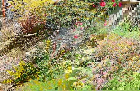 Gîte de La Pyranvôle - Foto 29