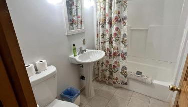 Homey Pet-Friendly Cabin Rental for Groups in the Catskills - Foto 4