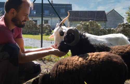 Domaine Le Pineau Private Pool & Nordic Jacuzzi Loire Valley - Foto 33