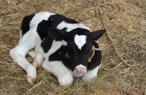 B&B Brunnerhof - Foto 22