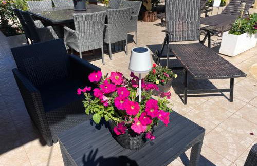 PARADISE GARDEN - Photo 31