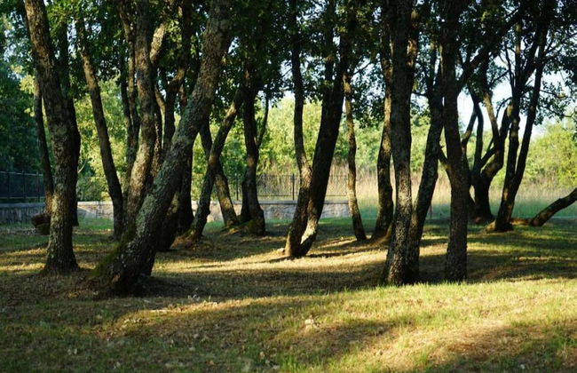 Modern Villa With Private Hydromassage Pool - Foto 39