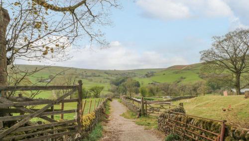 Swallows Return - Foto 3