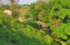 Station Cottage Hawes - Foto 27