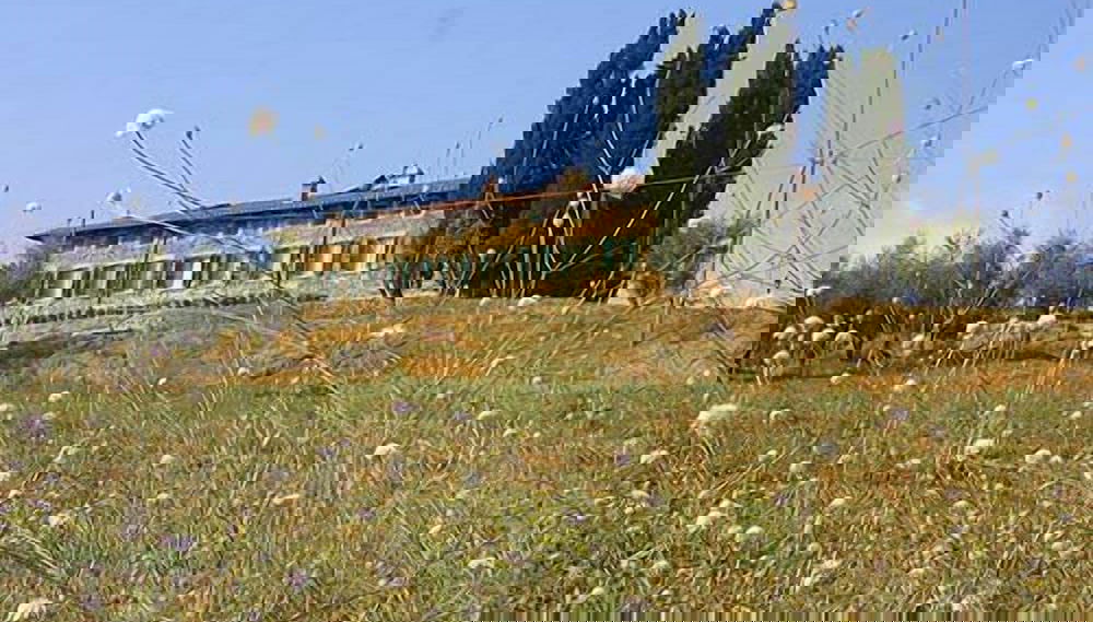 Fattoria Nuova Pievanella - Foto 1, Imagen principal