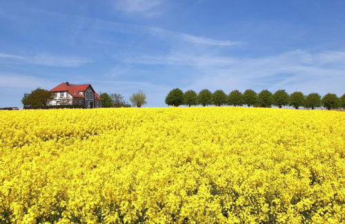 Apartment Gollwitzer Park - Insel Poel-7 by Interhome - Foto 10