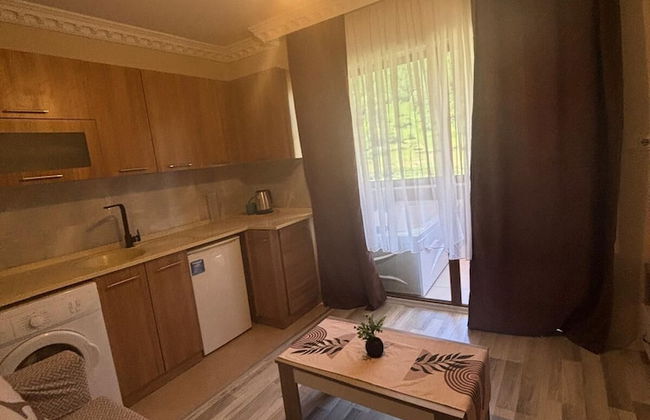 Uzungöl Ozturk Hotel - Foto 60