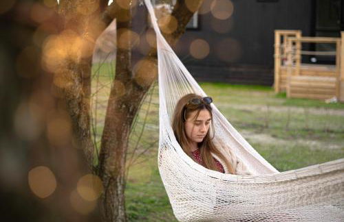 Galwad y Môr - Foto 25