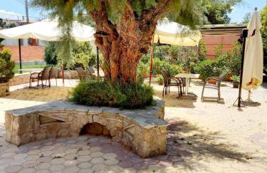 Ianos Living Spaces - 02 - Foto 20