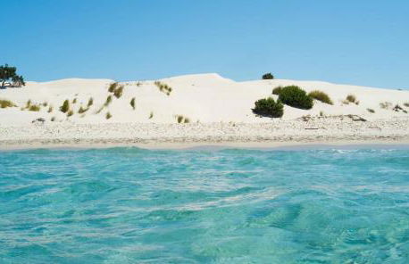 Casa Tartaruga - Foto 41