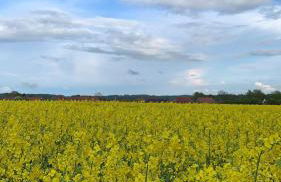 Ankerplatz Langballig - Foto 43