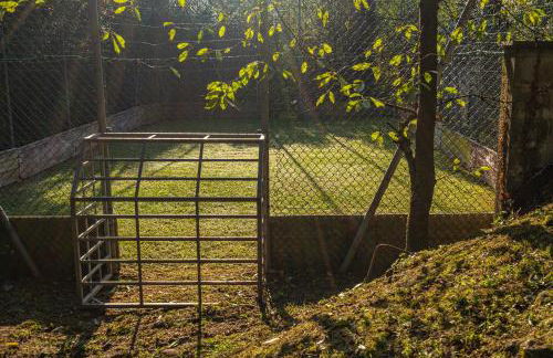 Alma Toscana - Foto 27