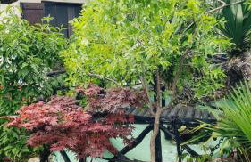 Casa del mare - Foto 55