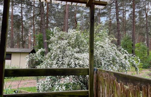 Camp Koose - Foto 15