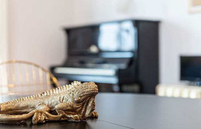 JOIVY Sophisticated Flat W/ Desk - Foto 45