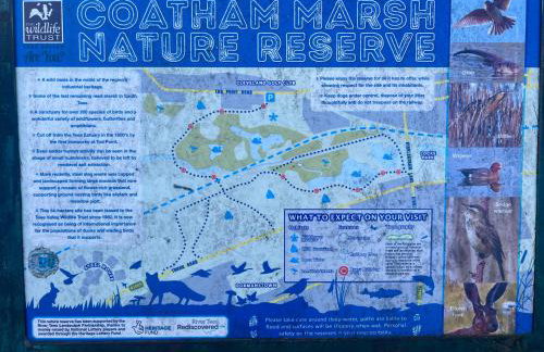 Celebration by the sea - Foto 33