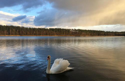 Wikno 3 Woda i Las - Foto 22