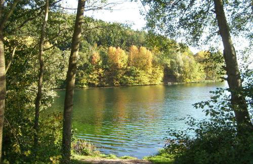 Ferienhaus Freilingen 74 - Photo 29