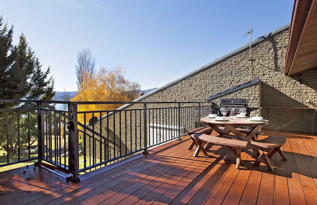 Grey Kangaroo- On Lake Jindabyne foreshore - Foto 22