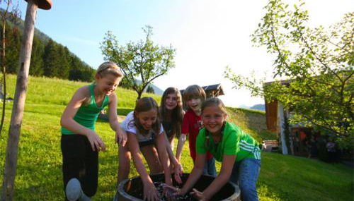 Staller Hof inkl. Chiemgaukarte - Foto 5