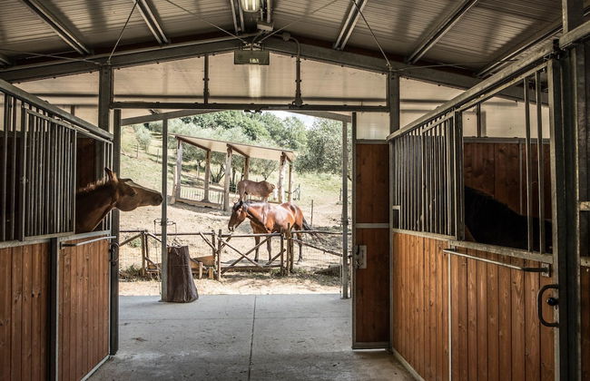 Agriturismo Goccia di Luna - Foto 60