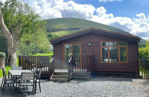 Buarth Wern - Foto 2