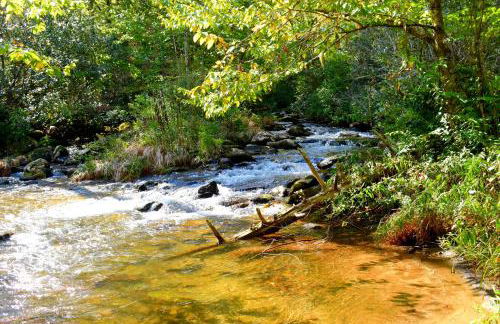 The Junction - Foto 33