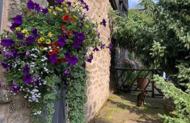 Wren Cottage, Manifold cycle trail,Peak District - Foto 8