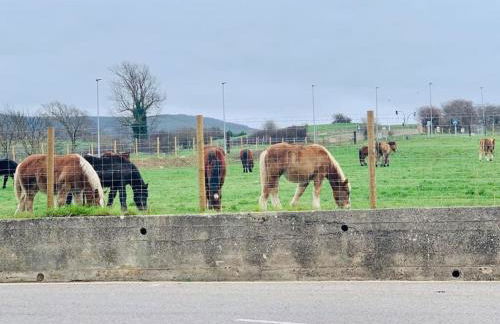 Apartament 3 Bedrooms 80m2 Alto Campoo Reinosa Cantabria - Foto 17