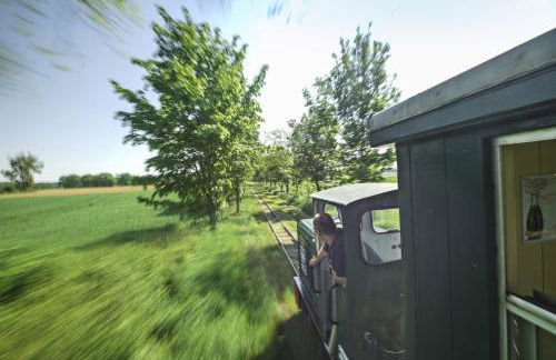 Ostseeferienhaus Nebengebäude - Foto 27