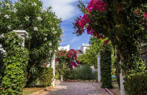 Bajo en Playa Romana Alcossebre - Foto 43