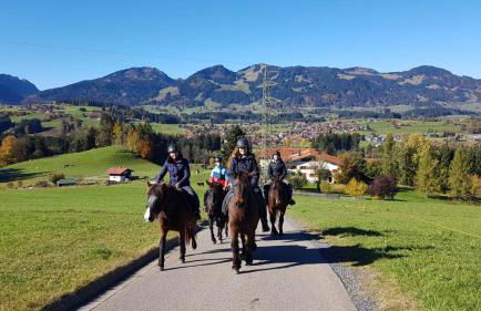 Ponyhof Schöllang - Foto 27