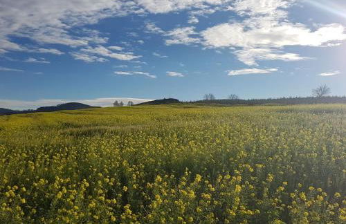 Holiday apartment with 2 bedrooms - Foto 33