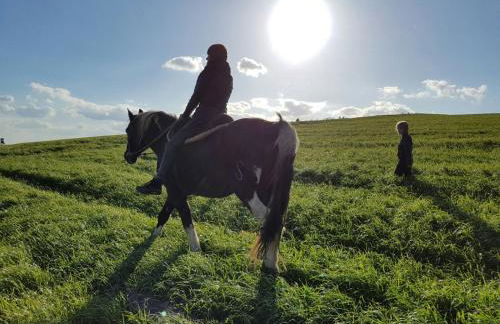 Funny-Farm - Foto 32