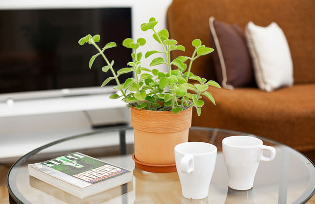 Apartment Kakowskiego Warsaw by Renters - Foto 39