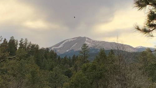 Twin Pines Casita - Big Yard, View, Porch, Hot Tub, & Charm - Foto 5