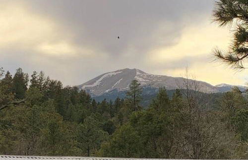 Twin Pines Casita - Big Yard, View, Porch, Hot Tub, & Charm - Foto 5