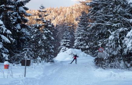 Landhaus Bernecker, Bay.W. - Foto 20