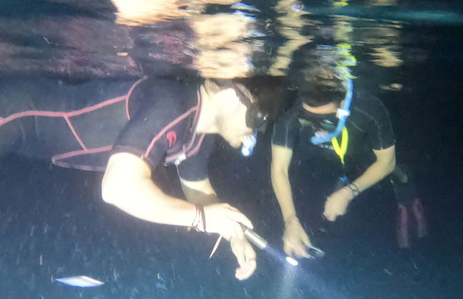 Night Snorkeling in Cozumel - Photo 1