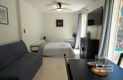 Riboleys -Superbe T1 à 100m de la plage - Foto 6