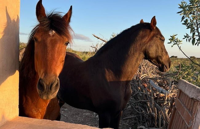 La Fattoria Ecolodge - Foto 8