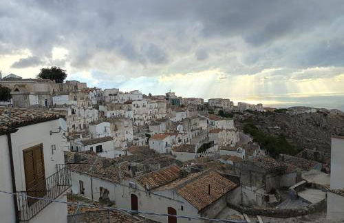 Domus MiTo - Foto 25