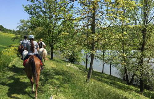 Agriturismo Il Colle del Falco - Photo 39