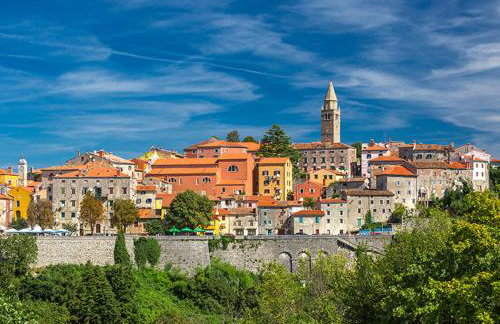 Apartman Gina - Photo 21