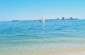 Arrábida Cozy House - Foto 74