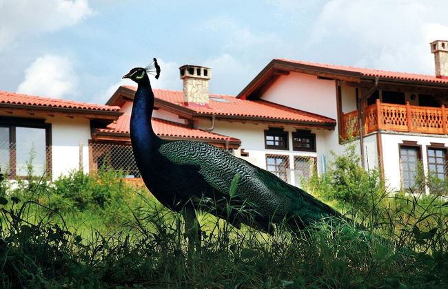 Wine & SPA Complex Starossel - Foto 50