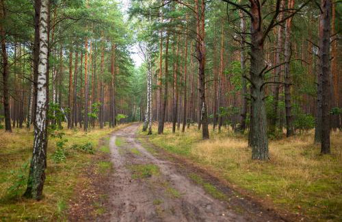 Agroturystyka Borówka - Foto 72