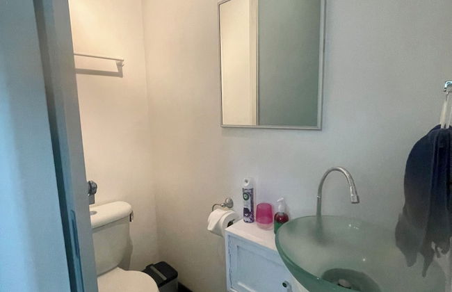 Beautiful Spacious Loft 2 Bedrooms 2 Full Baths 2 car Garage in Downtown - Foto 64